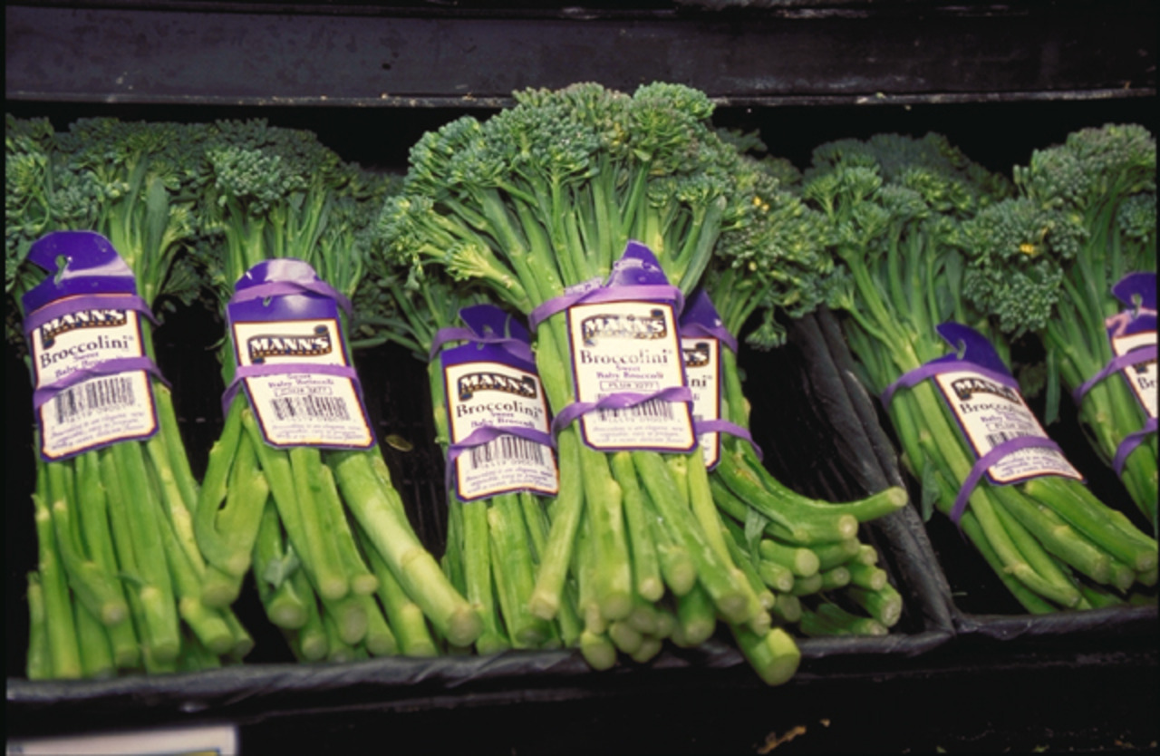 Usda Broccolini (1) (1)