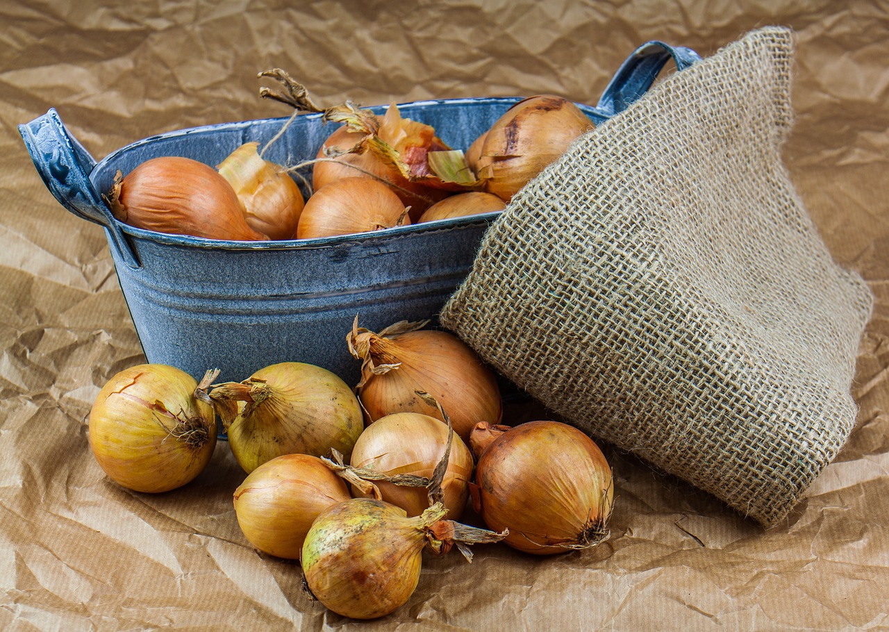 Onion 4054652 1280