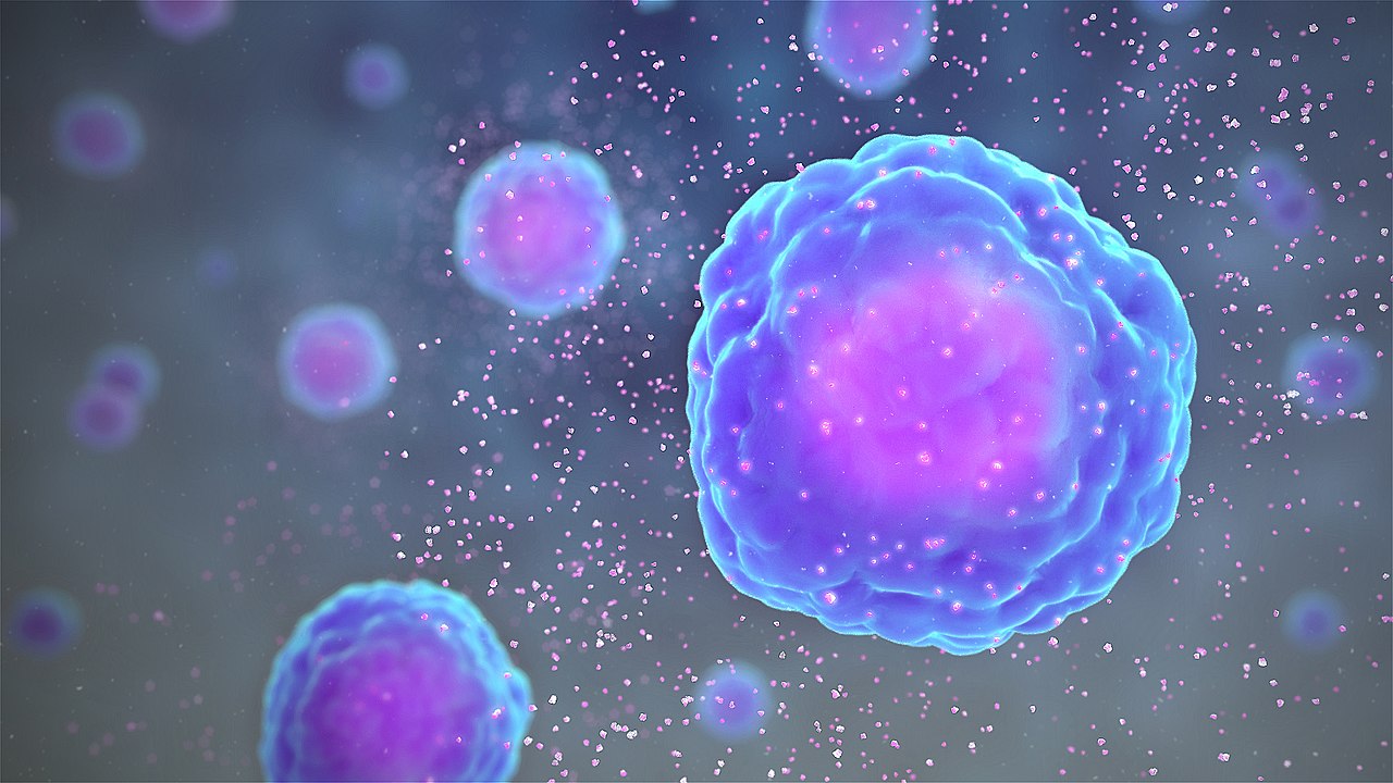 1280px Cytokine Release