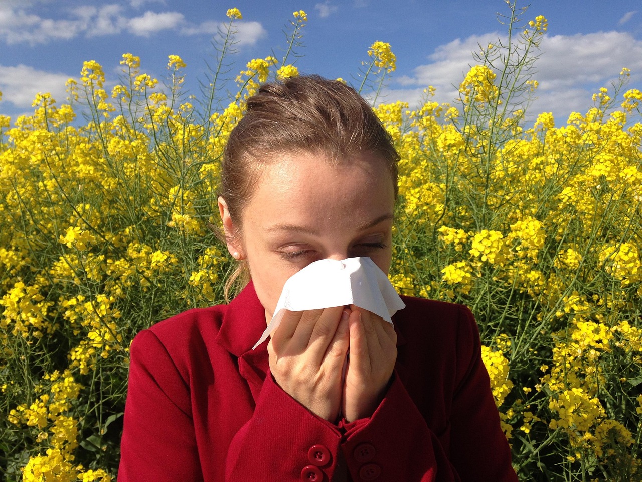 Allergy 1738191 1280 (1)