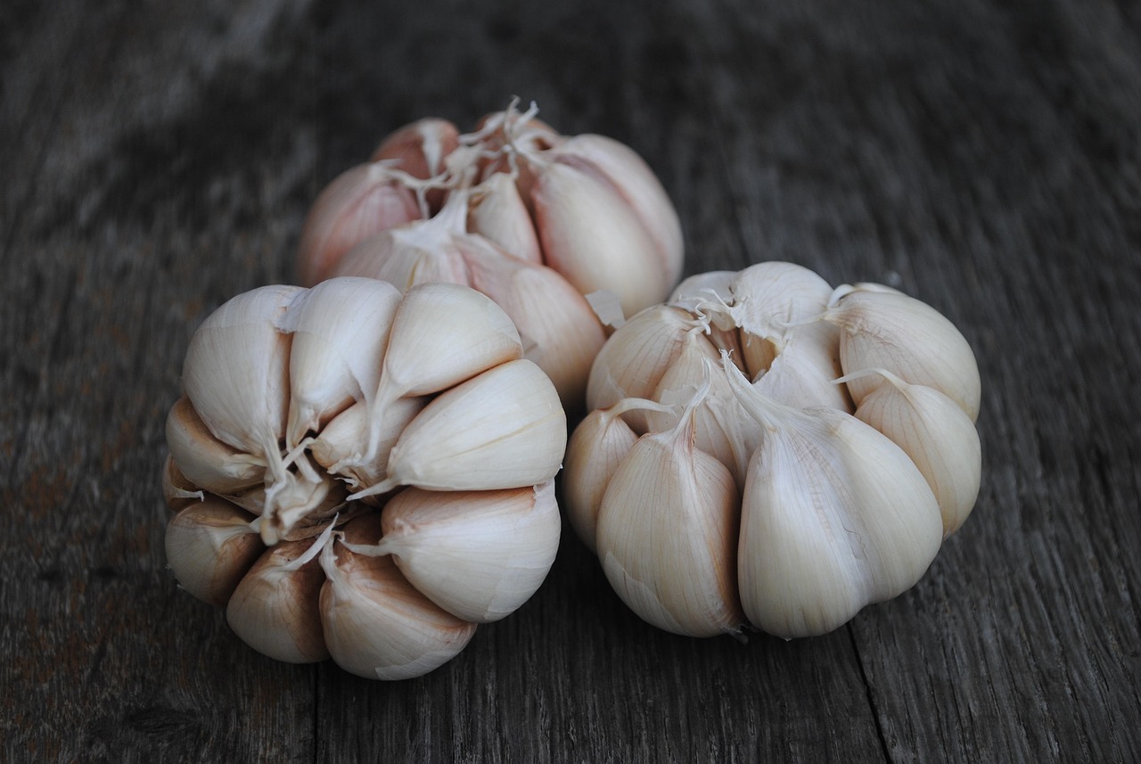 Garlic 6834190 1280 (1)