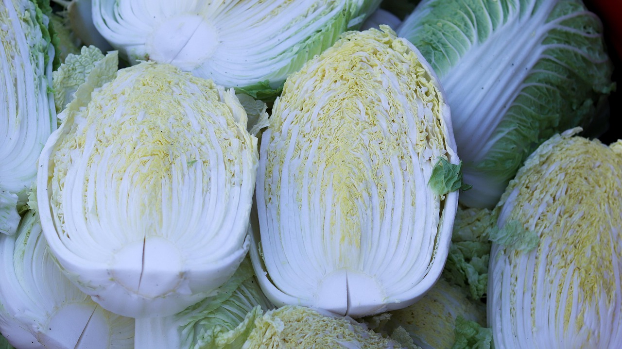 Chinese Cabbage 5798137 1280