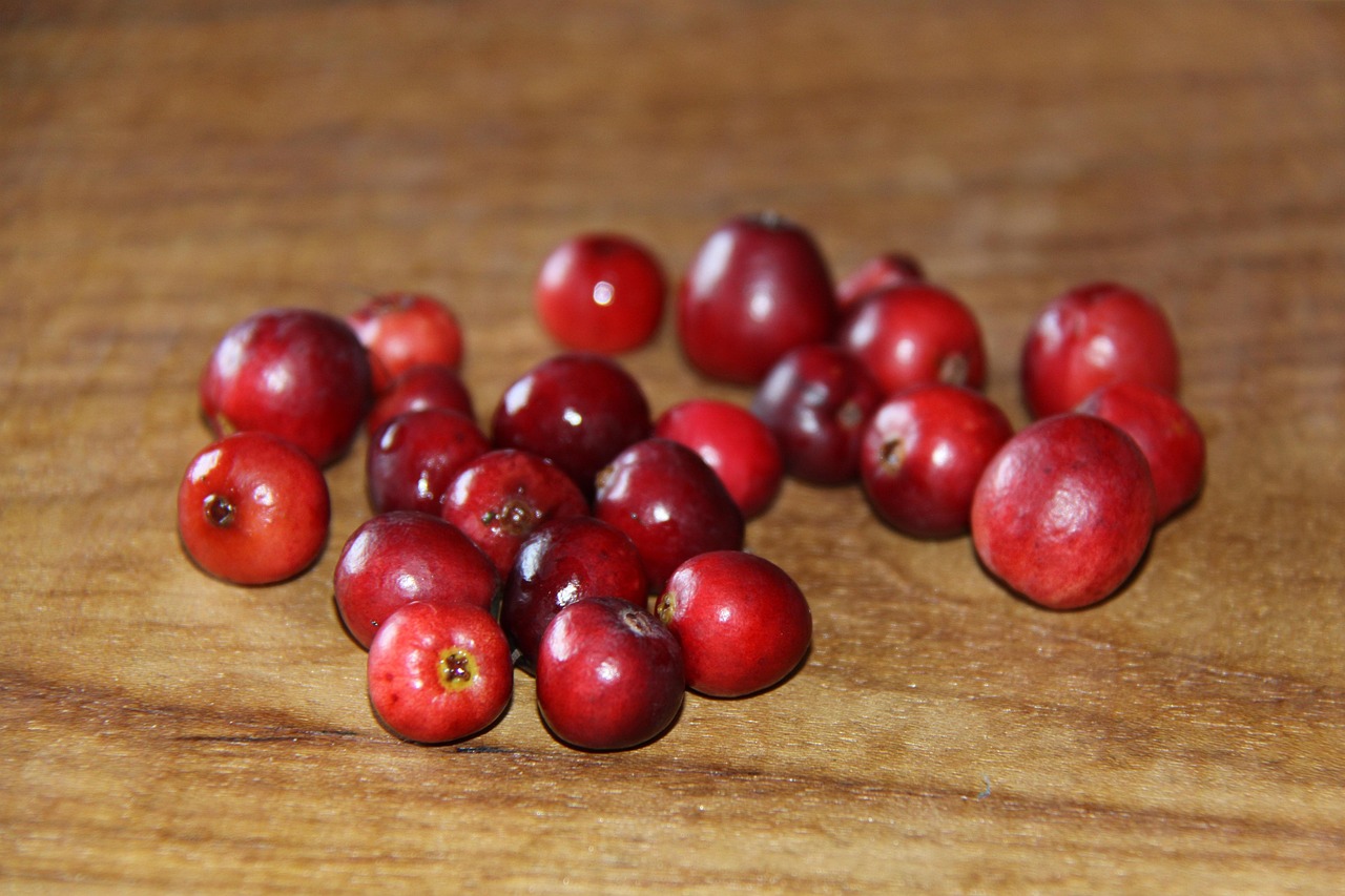Cranberry 2782939 1280