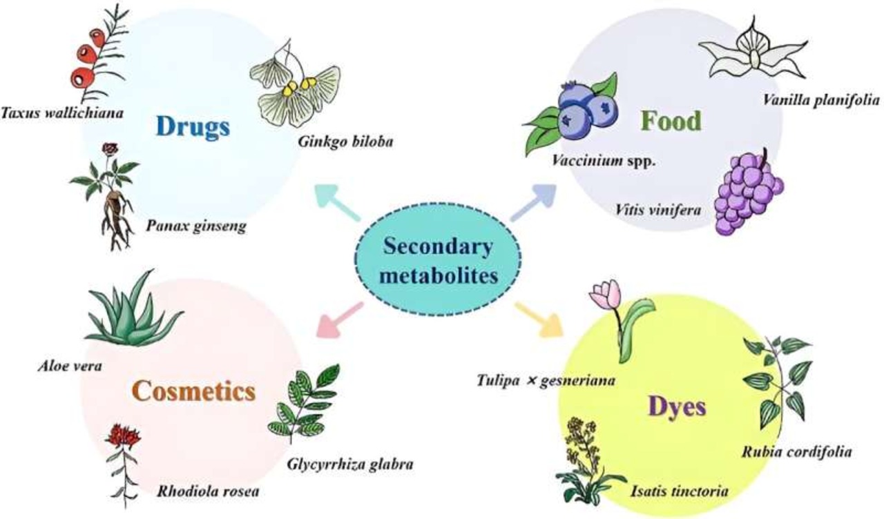 Unlocking Plant Potent (1)