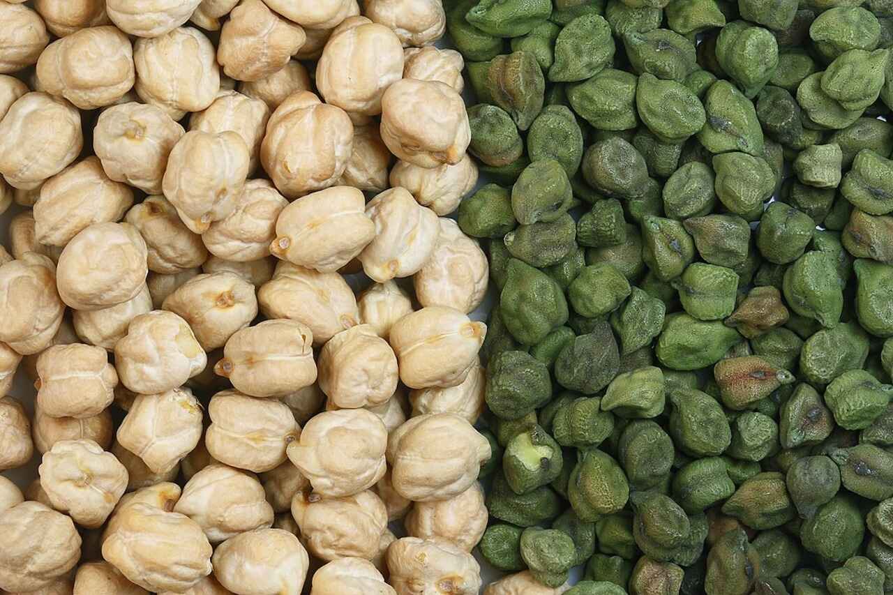 1080px Sa Whitegreen Chickpea (1) (1)