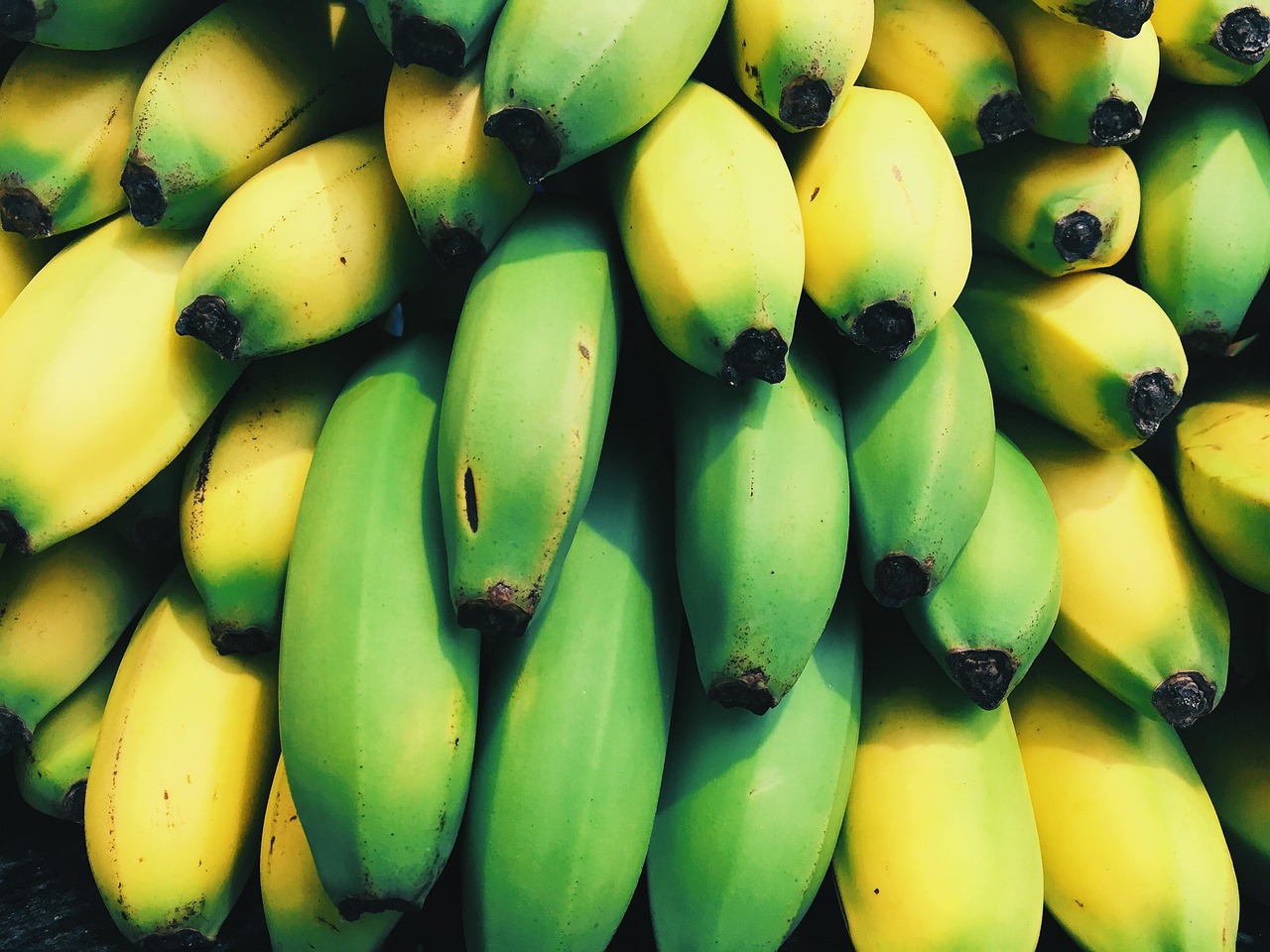 Bananas 1836459 1280