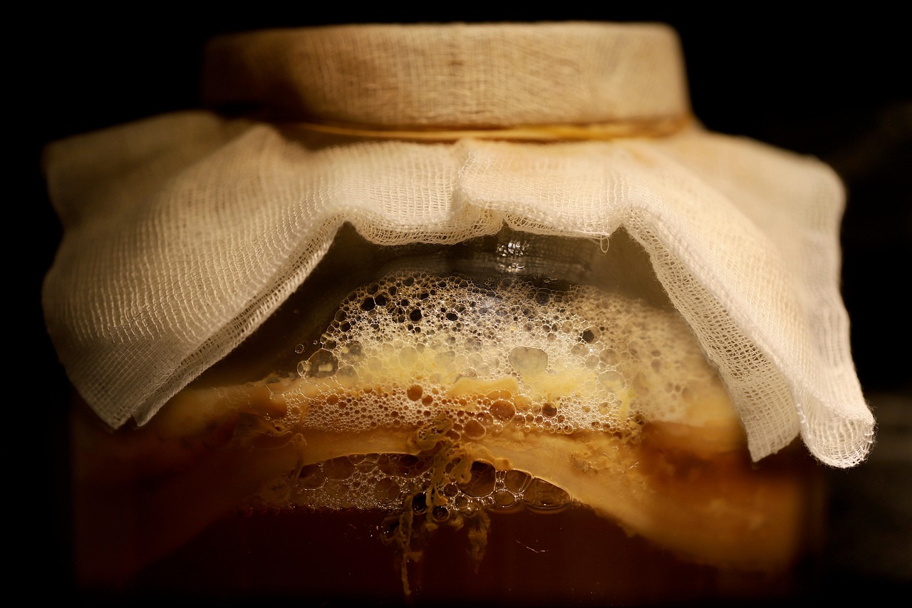 Kombucha 8478515 1280