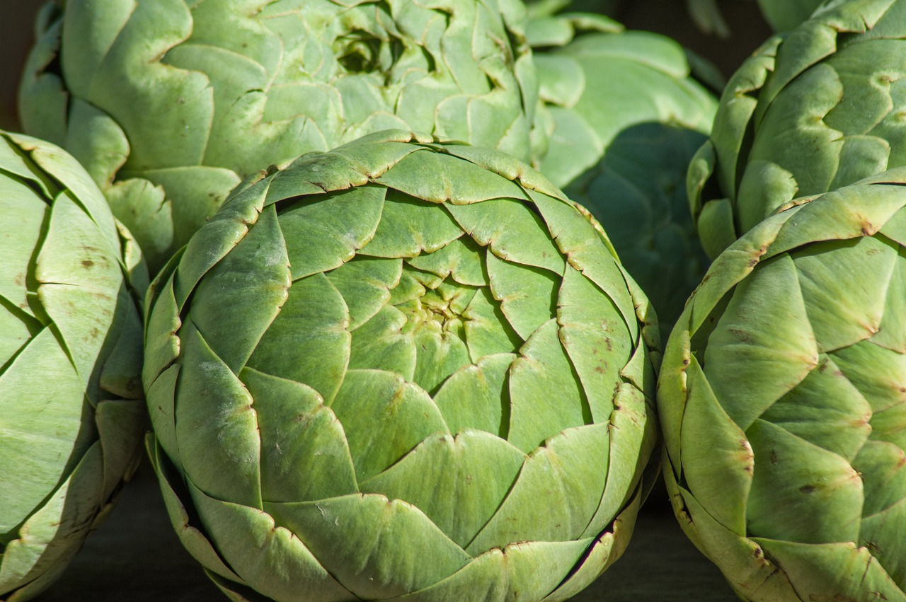 Artichokes 4030306 1280