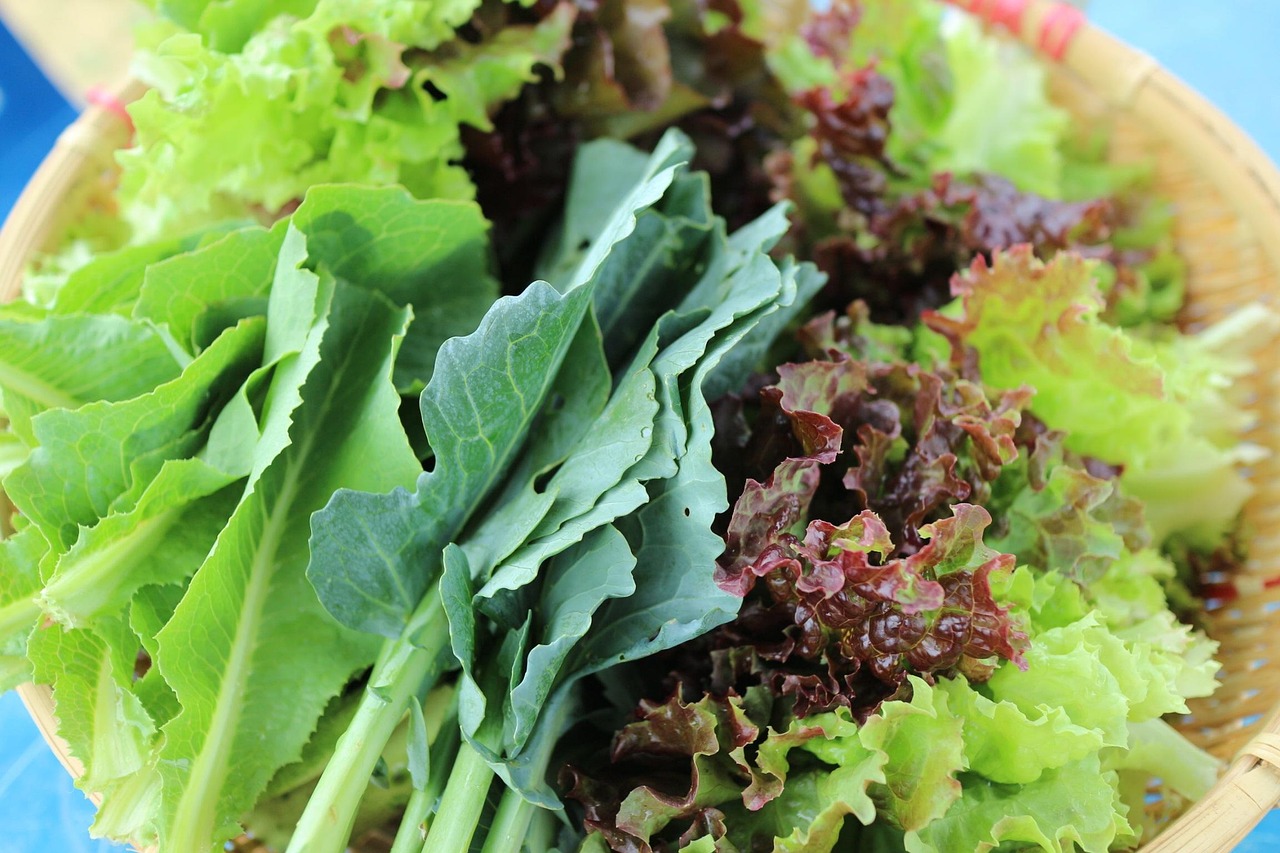 Vegetables 2826000 1280
