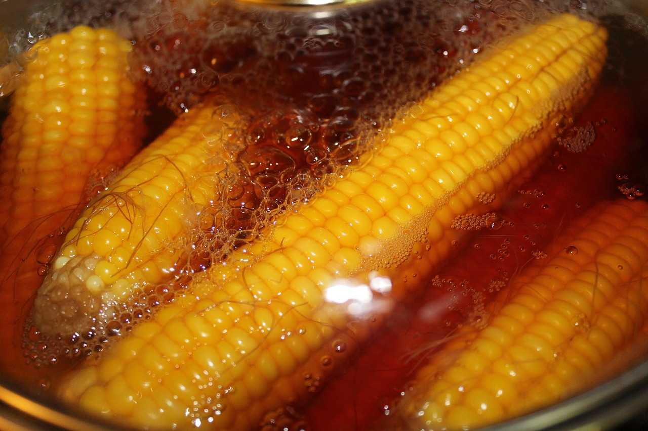 Corn 3507406 1280