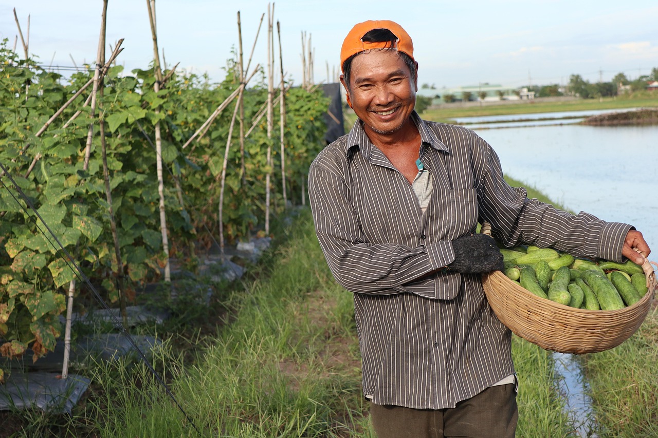 Farmer 6839857 1280