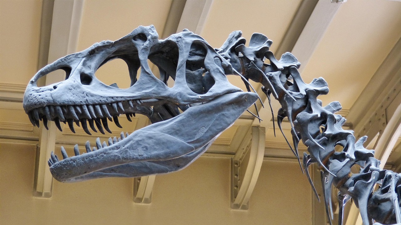 Museum 367730 1280