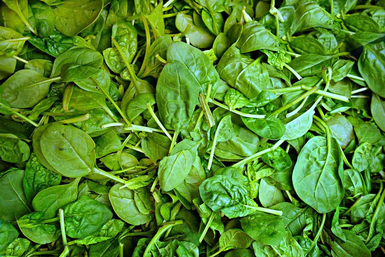 Spinach 1522283 1280 (2) (1)