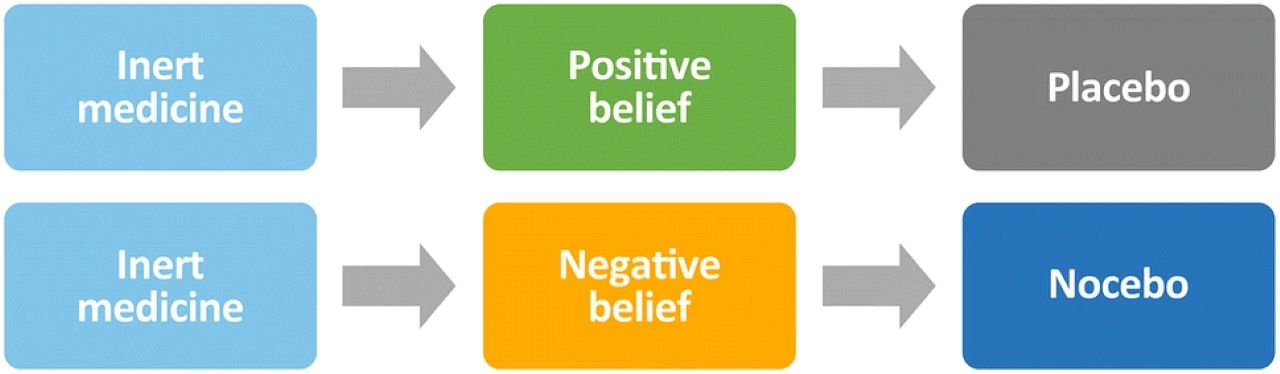 Placebo Vs Nocebo
