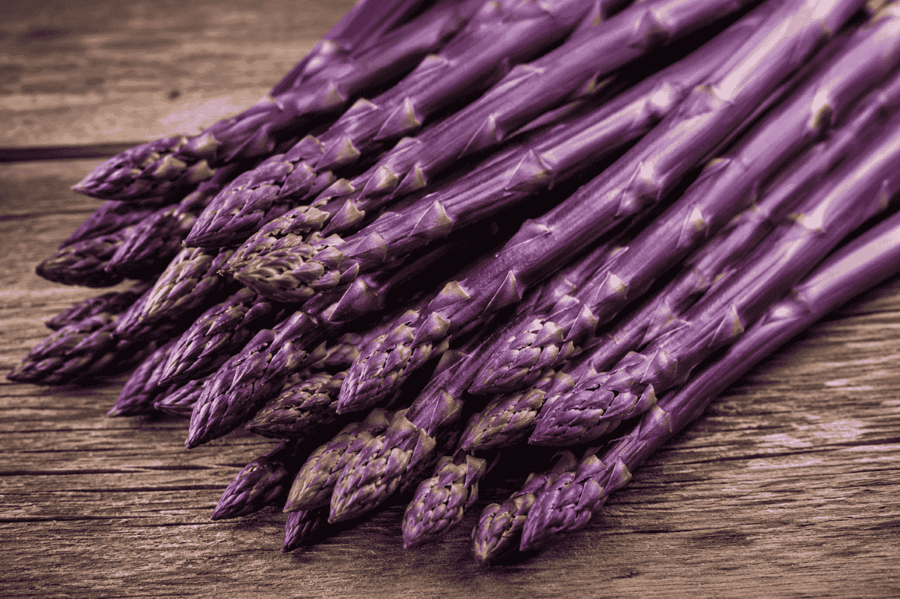 Purple 紫色蘆筍