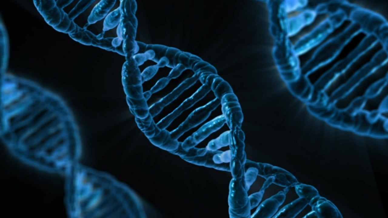Publicdomainpictures Dna 163466 1280