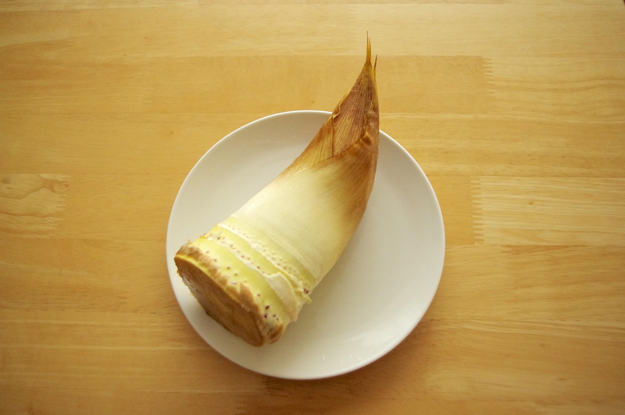 Bamboo Shoot