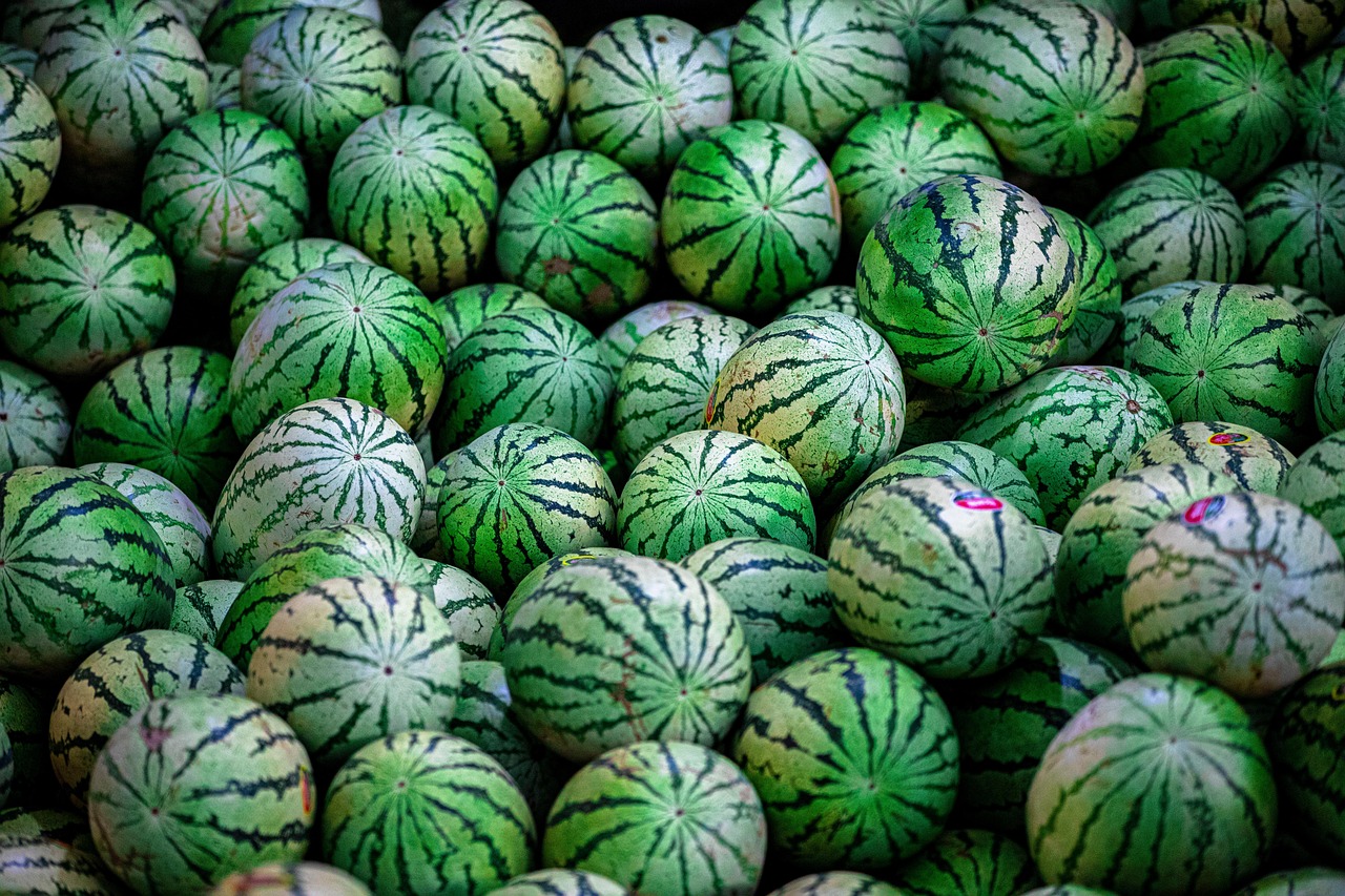 Swidaalba Watermelon 8283269 1280