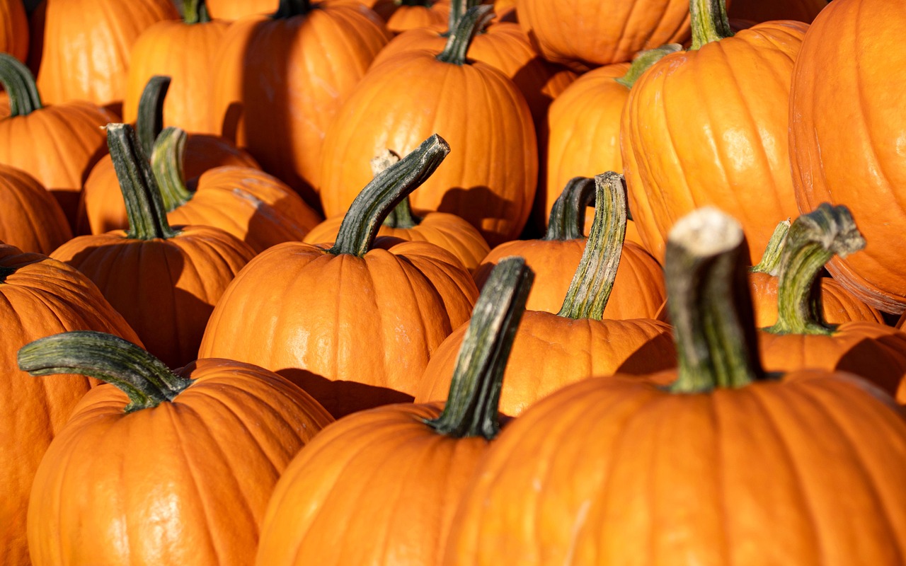 Debannja Pumpkins 8287968 1280